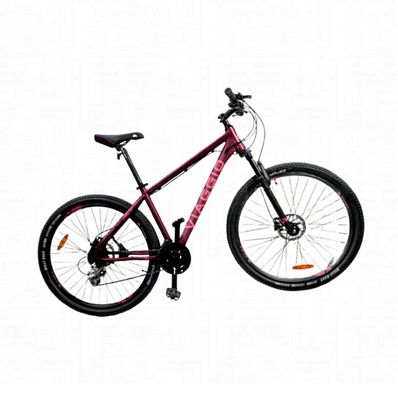 Bicicleta-Vaggio-BP02947