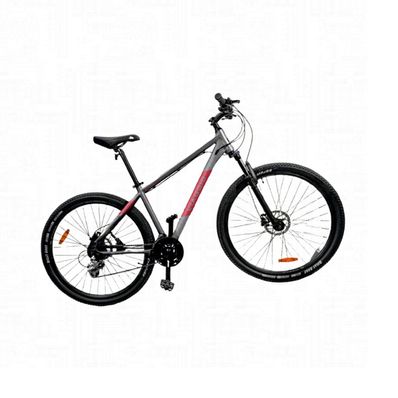 Bicicleta-Vaggio-BP02948