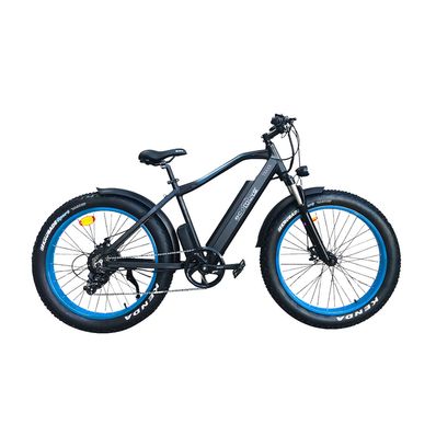 Bicicleta Eléctrica Ecomove Traxx
