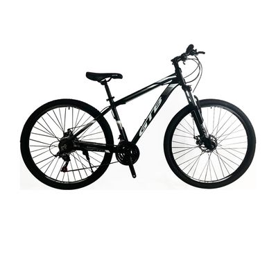 GRIS-Bicicleta-Montanera