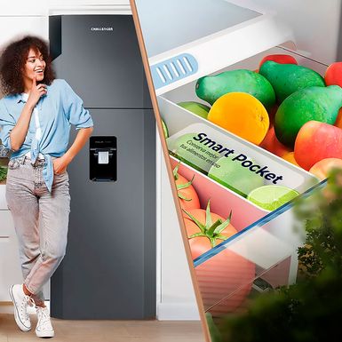 Refrigeradora-Challenger-CR266-4