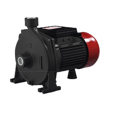 Electrobomba-Centrifuga-Dcp20H-220V-60Hz-2Hp-Cobre-Ducati-