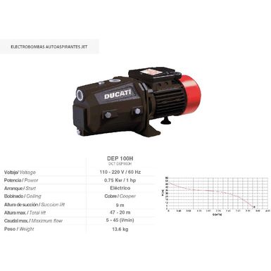 Electrobomba-De-Jet-Autosebante-Dep100H-1Hp-220-110-127V-60Hz-Ducati