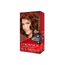 Tinte-de-Cabello-Revlon-Colorsilk